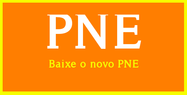 Conheça o novo PNE6